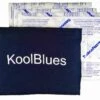 KoolBlues Umpire Chest Protector Cooling System -Baseball Gear KoolBlues Umpie Chest Protector Cooling System Default 1