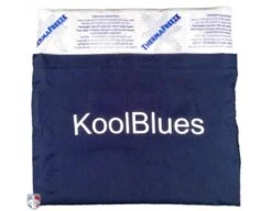 KoolBlues Umpire Chest Protector Cooling System 9 KoolBlues Umpire Chest Protector Cooling System -Baseball Gear KoolBlues Umpire Chest Protector Cooling System Pouch with Ice Pack Front